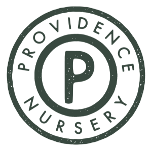 Providence Nursery