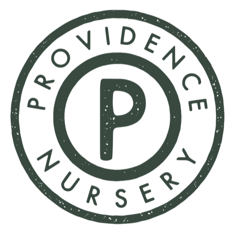 Providence Nursery