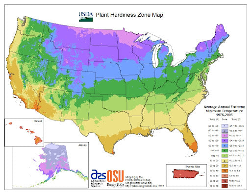 Choosing Plants For a Garden Bed