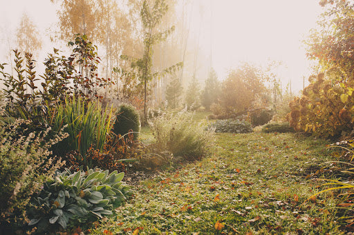 Top 10 Fall Lawn & Garden Tasks to Put on Your To-Do List