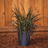Grass Black Mondo