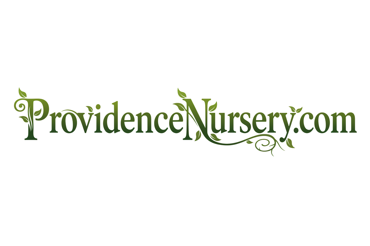 Providence Nursery