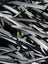 Grass Black Mondo
