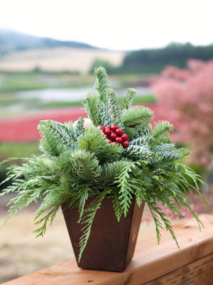 Mixed Noble Fir Centerpiece