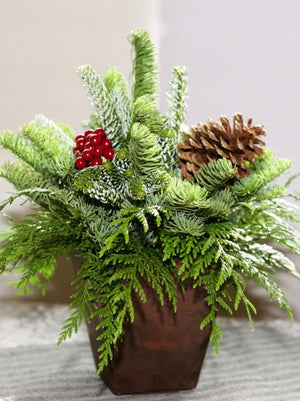 Mixed Noble Fir Centerpiece