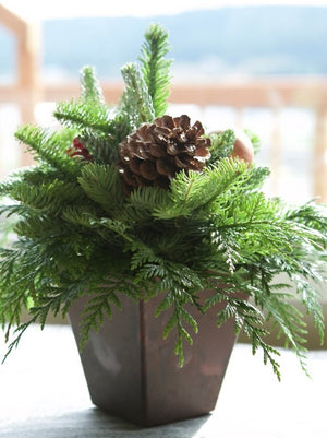 Mixed Noble Fir Centerpiece